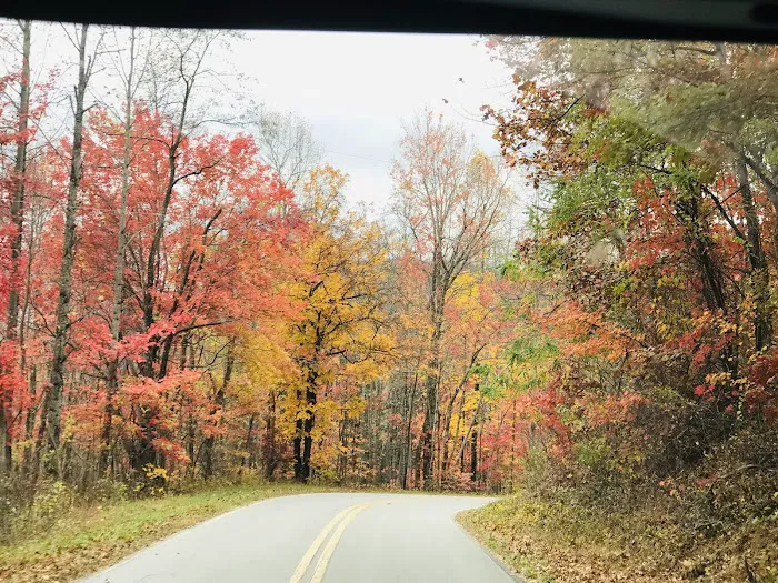 Maple Ridge RV Park Picture 8