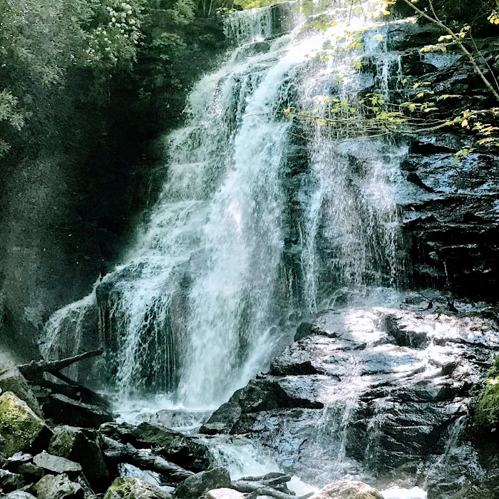 Maple Ridge RV Park Picture 10