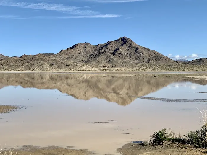 Soggy Dry Lake Picture 5
