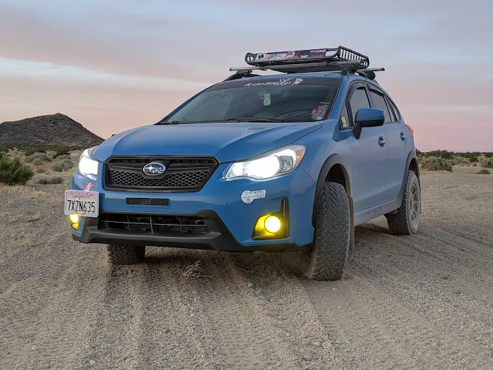 Soggy Dry Lake Picture 9