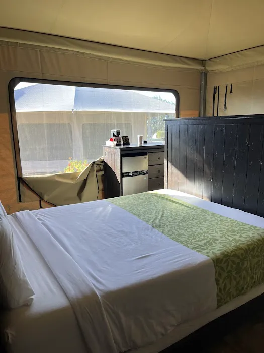 Palm Springs / Joshua Tree KOA Holiday Picture 1