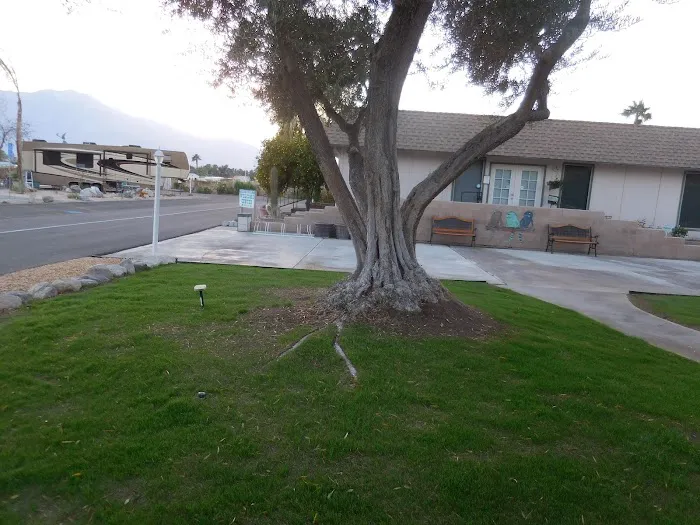 Palm Springs / Joshua Tree KOA Holiday Picture 8