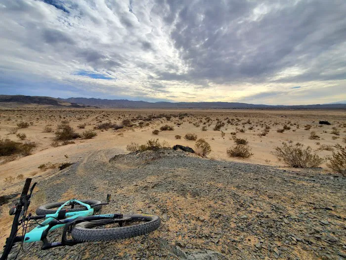 North Joshua Tree BLM Picture 10