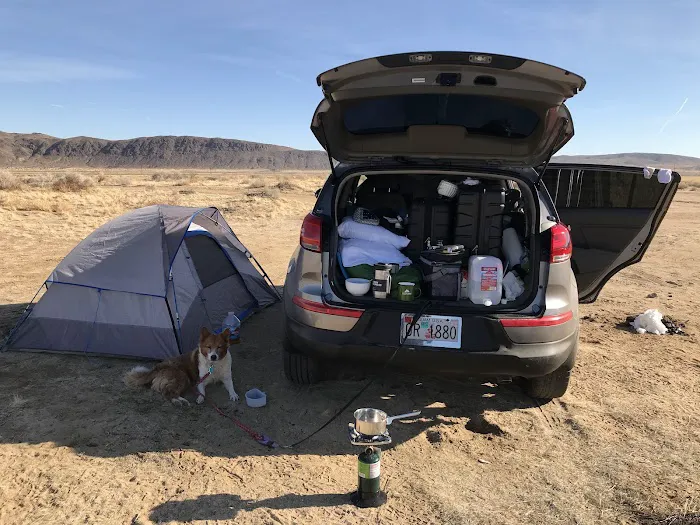 North Joshua Tree BLM Picture 6