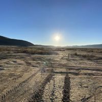 North Joshua Tree BLM ico