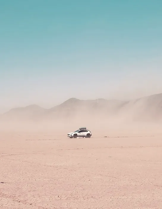 North Joshua Tree BLM Picture 3