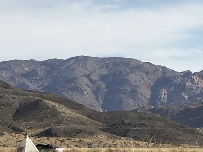 North Joshua Tree BLM Picture 7