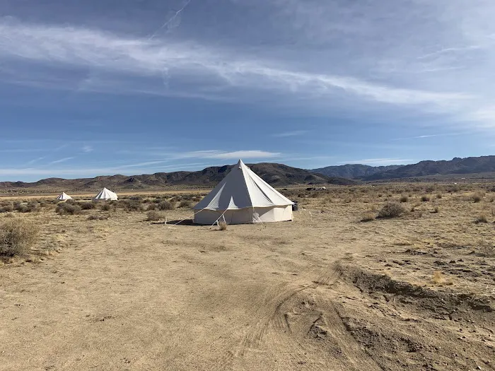 North Joshua Tree BLM Picture 8