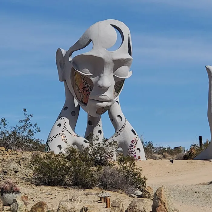 BLM Dispersed Camping Area for JNP Picture 4