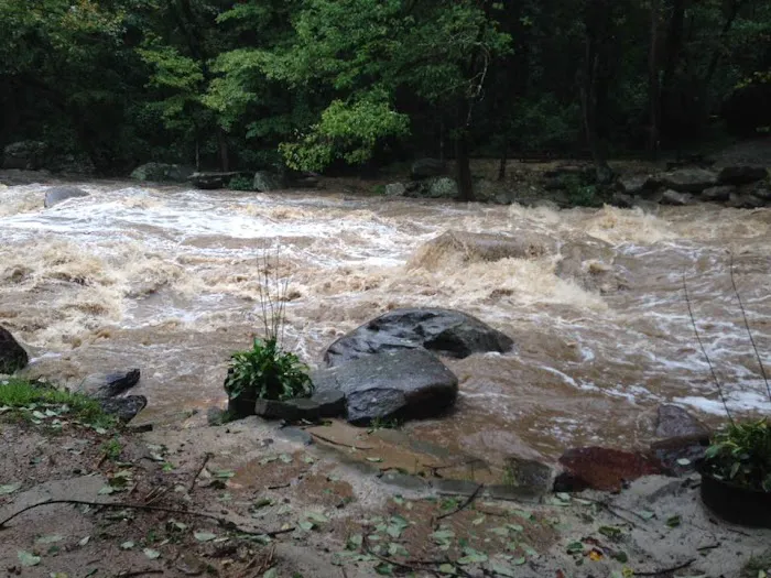 Dogwood RV Park Picture 2