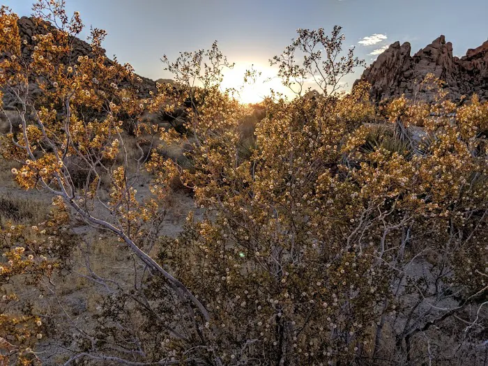 Indian Cove Campground Picture 3