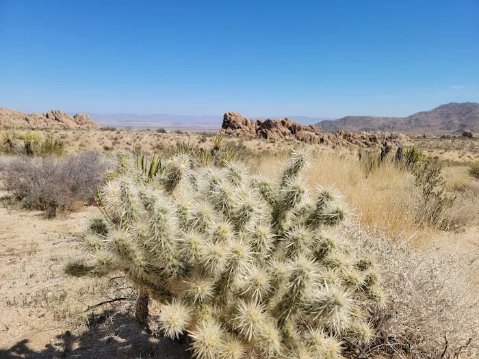 Indian Cove Campground Picture 5