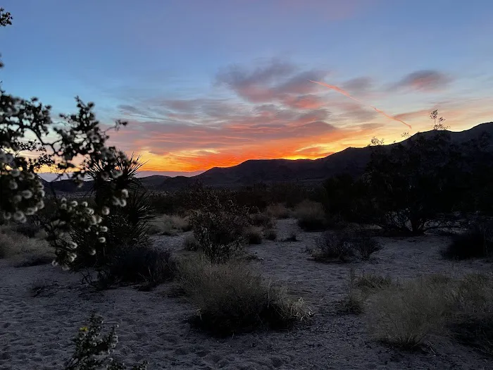 Indian Cove Campground Picture 7