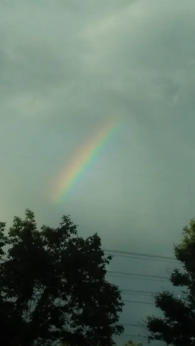 Oakgrove Village Picture 6