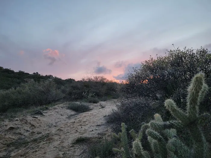 Pool Ranch Picture 10