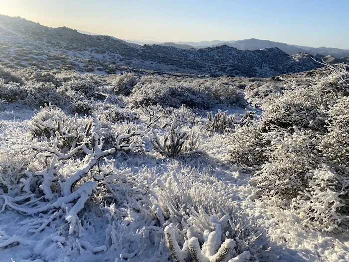 Pool Ranch Picture 8