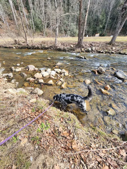 Rocky Fork RV Park, LLC Picture 4