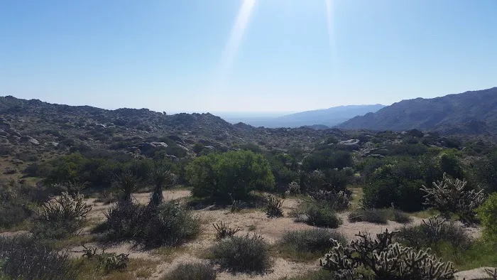 Culp Valley Primitive Campground Picture 1