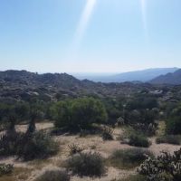Culp Valley Primitive Campground ico