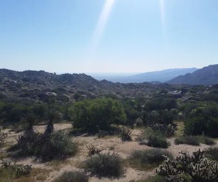 Culp Valley Primitive Campground