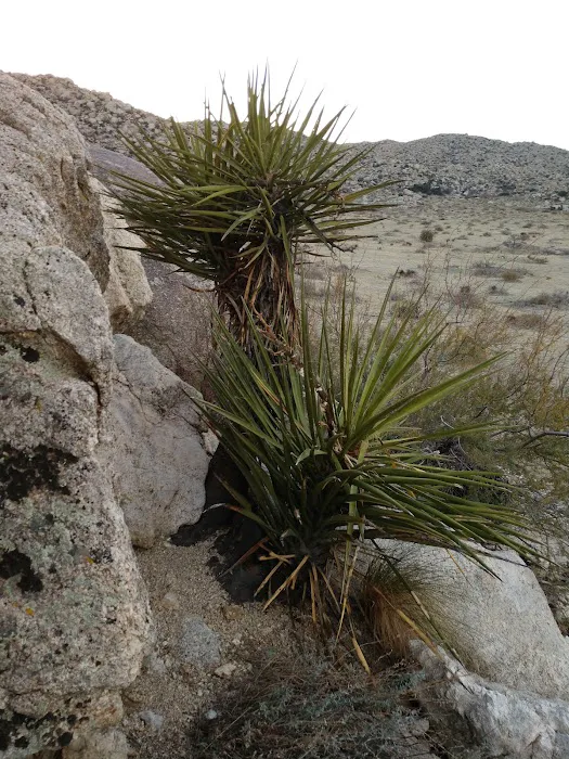 Paroli Homesite Campground Picture 3