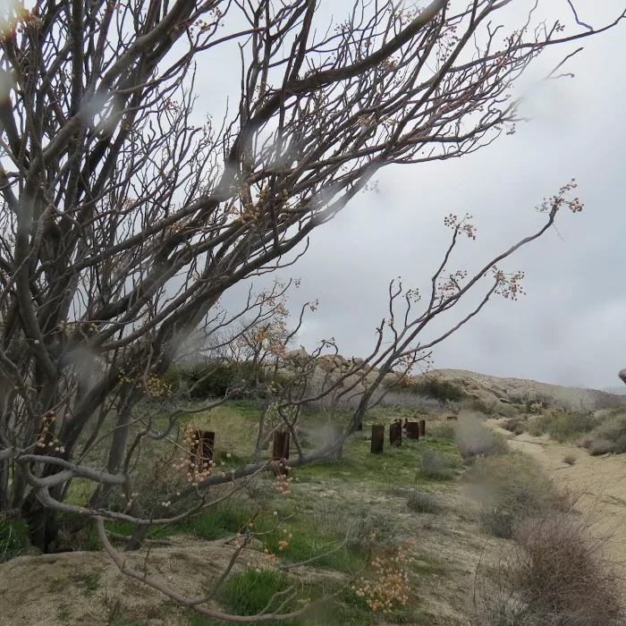 Paroli Homesite Campground Picture 8