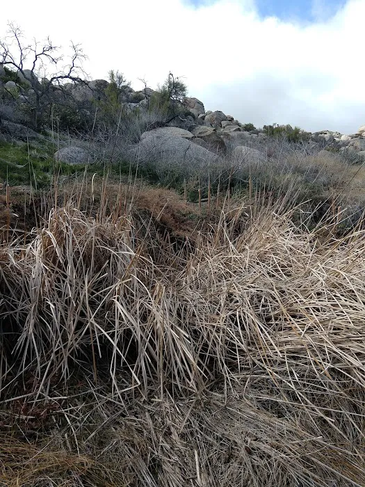 Paroli Homesite Campground Picture 10