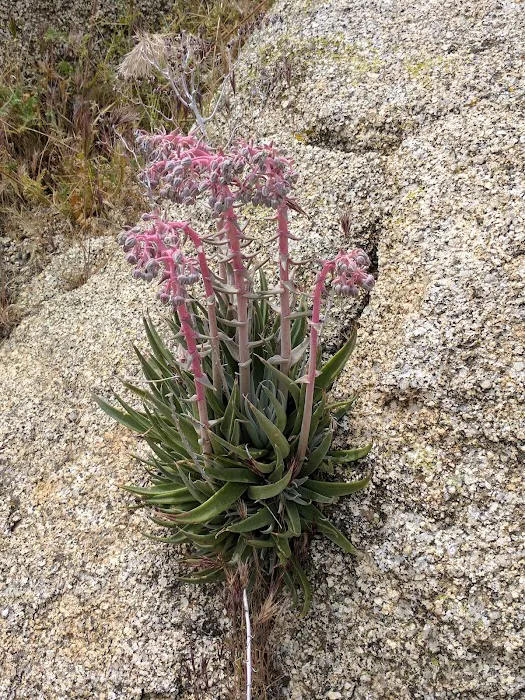 Paroli Homesite Campground Picture 9