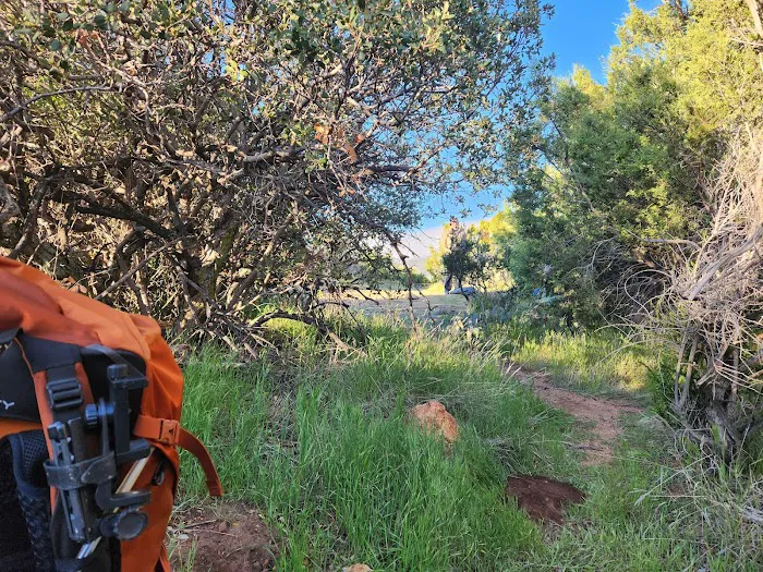 PCT Campground Picture 7