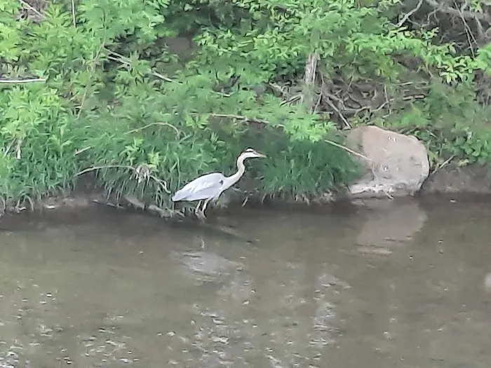 Damascus Creekside RV Park Picture 6