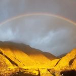 Anza-Borrego State Park Campground