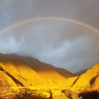 Anza-Borrego State Park Campground ico