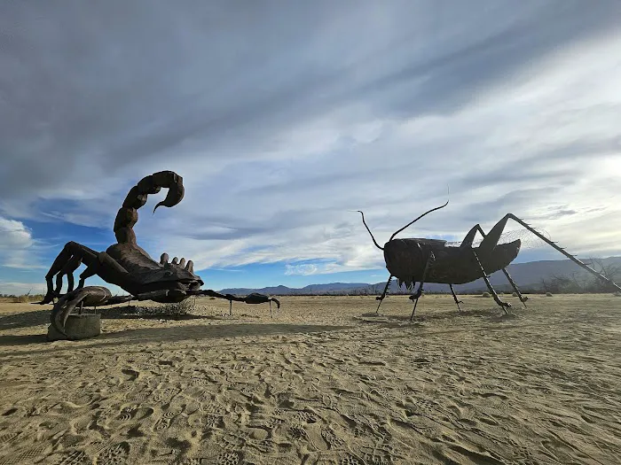 Anza-Borrego State Park Campground Picture 7