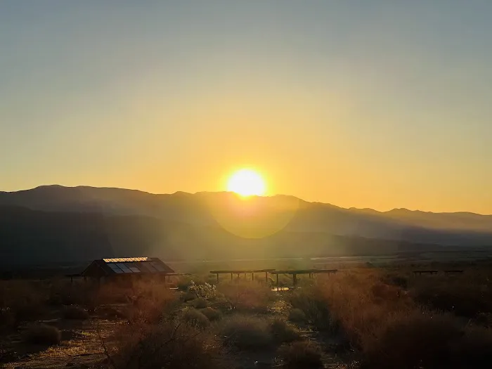 Anza-Borrego State Park Campground Picture 10