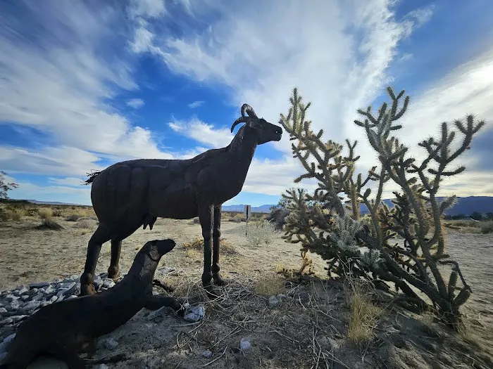 Anza-Borrego State Park Campground Picture 9