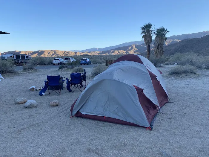 Borrego Palm Canyon Campground Picture 1