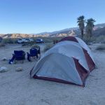 Borrego Palm Canyon Campground