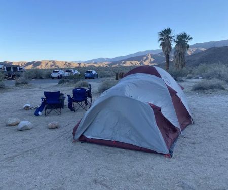 Borrego Palm Canyon Campground