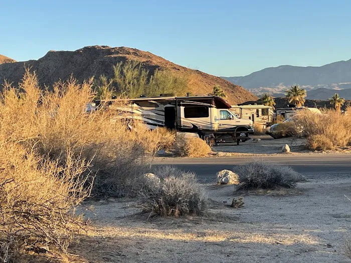 Borrego Palm Canyon Campground Picture 8