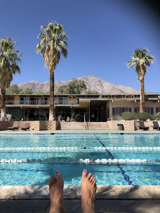 Borrego Palm Canyon Campground Picture 7