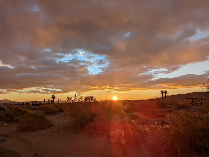Borrego Palm Canyon Campground Picture 5