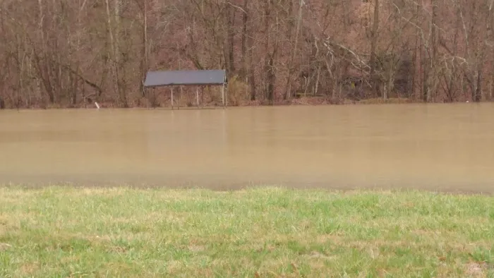 Dogwood Acres Picture 7