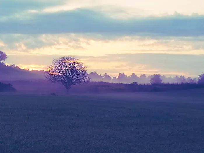 Cave Hill Manor Mobile Home Park Picture 5