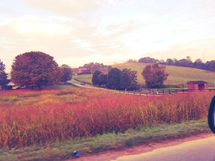 Cave Hill Manor Mobile Home Park Picture 8