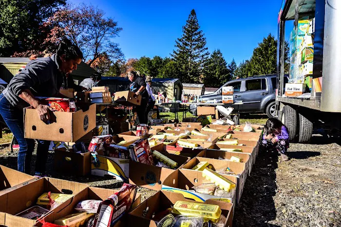 Emory Acres Mobile Home Park Black Mtn Picture 7