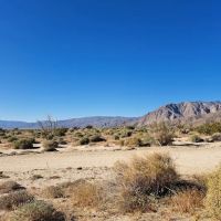 Coyote Canyon campsite ico