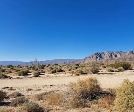 Coyote Canyon campsite