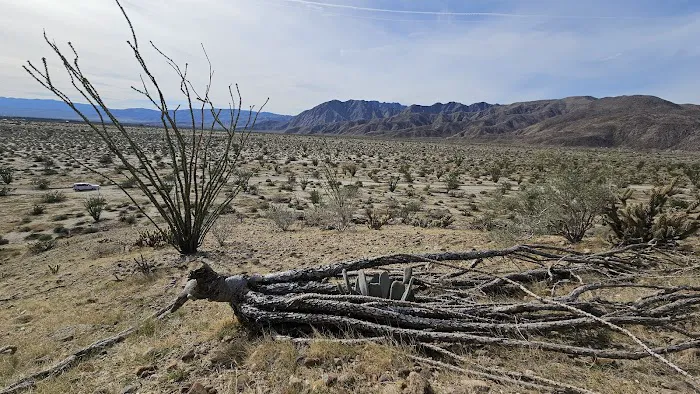 Coyote Canyon campsite Picture 6