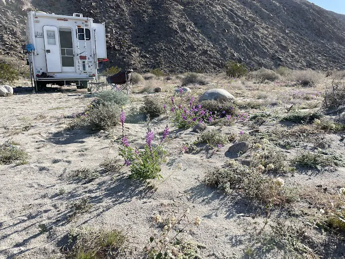 Coyote Canyon campsite Picture 7