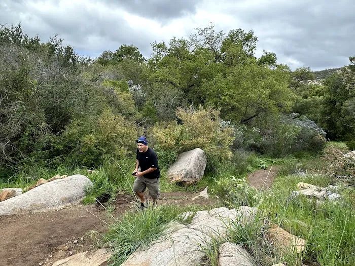 Oakoasis County Preserve Campsite Picture 5